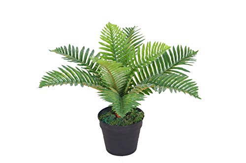 Tradala 2' Lush Artificial Tree Plant Palm 60cm / 2ft Tall with Real Wood Trunk - For Home Living Room Indoors