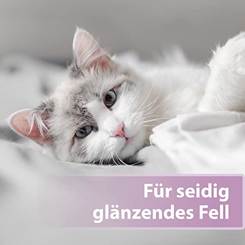 Felisept Fellpflegespray für Katzen 250ml - Entfilzungsspray Katze - Katze verfilztes Fell entfernen - besonderer Schutz & Pflege für das Katzenfell - Erleichtert das Auskämmen