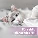 Felisept Fellpflegespray für Katzen 250ml - Entfilzungsspray Katze verfilztes Fell entfernen, besonderer Schutz & Pflege für das Katzenfell - Erleichtert das Auskämmen