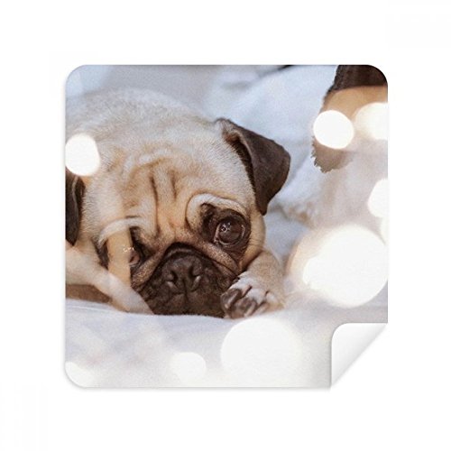 Chiffon de nettoyage pour écran de smartphone et lunettes motif bouledogue solitaire