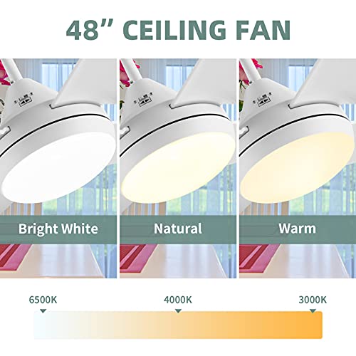 Newday 48-In Ceiling Fan With Lights And Remote, White Ceiling Fan With 4 Reversible Blades, Quit Motor, 3 Speed, Modern Adjustable Color Temperature For Indoor Outdoor #TOP3