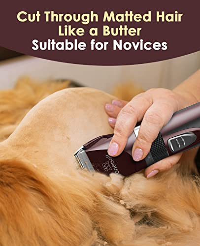 oneisall Leise Schermaschine Katze Hunde, Profi Haarschneidemaschine für langhaarkatzen mit dichtem Fell, Hundeschermaschine katzenrasierer mit leistungstarken Motor (Rosa)