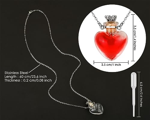 DS. DISTINCTIVE STYLE Vial Necklace Heart Shaped Perfume Bottle Pendant Blood Vial Necklace for Liquid Memorial Jewelry for Ashes Glass Keepsake Urn Necklace for Women2