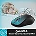 Rapoo 1680 Silent Wireless Mouse, 2.4GHz Cordless Mouse with USB Receiver, 1K DPI, 3 Buttons Computer Mouse with 12M Battery Life, Ambidextrous Computer Mice for PC/Tablet/Laptop, Black