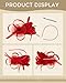Fascinators Hats for Girls and Women Feather Tea Party Hats Wedding Mesh Hat with Headband and Clip Red