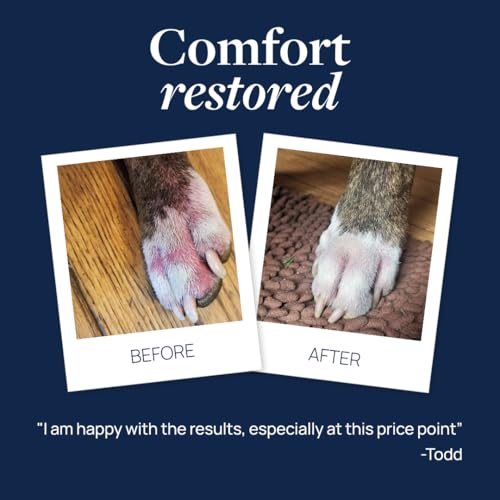 Image of Veterinary Formula Clinical Care Antiseptic and Antifungal Spray for Dogs and Cats - Helps Alleviate Scaly, Greasy, or Red Skin and Supports Skin Prone to Odor Causing Buildup - Pack of 2, 8 oz Each