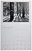 Ansel Adams 2020 Wall Calendar