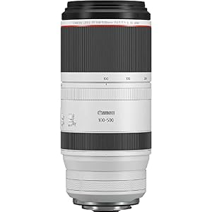 Canon RF100-500mm F4.5-7.1 L is USM Lens — photo 3 of 6