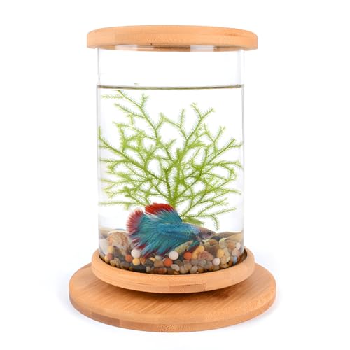 [GIIPET] ^x^ fXNp ~` 360°] VR| KX ㏬^ TJi x^Zbg ȒP ANAE { AbvEeiXȒP X^[^[^NœK NX}XAo^Cf[A̓Mtg