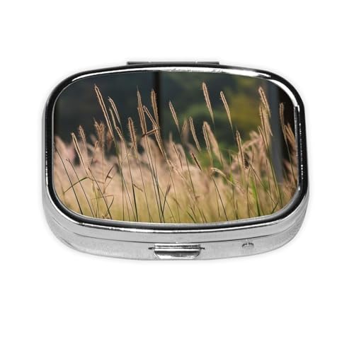 Pill Box Grasses View �X�N�G�A �s���P�[�X �~�j ���^�� �g���x�� �s���{�b�N�X ���z�p ���^ ���킢�� 2�R���p�[�g�����g �� �s�� �I�[�K�i�C�U�[ �|�[�^�u�� �s�� �e�� �z���_�[ �����̖� �r�^�~��