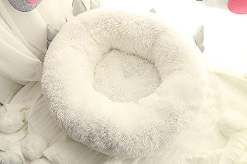 review BODISEINT Modern Soft Plush Round Pet Bed for Cats or Small Dogs, Mini Medium Sized Dog Cat Bed Self Warming Autumn Winter Indoor Snooze Sleeping Cozy Kitty Teddy Kennel (24'' D x 8'' H, White)