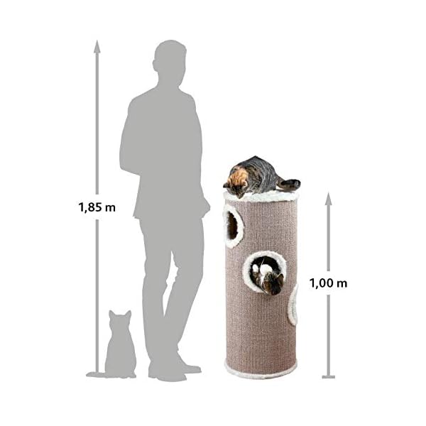 Trixie 4338 Cat Tower Edoardo, 100 cm, taupe/creme – Bild 6