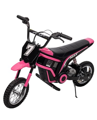 24V 350W Electric Dirt Bike for Kids