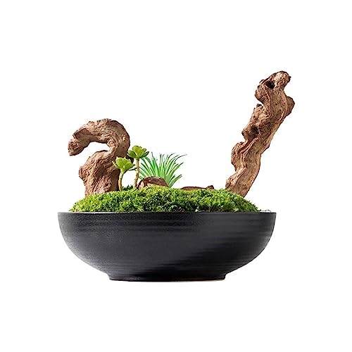Planta artificial Zen chino imitación musgo verde maceta para plantas decoración mesa de negociación decoración paisaje decoración árbol artificial de interior