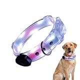 Collar per cani, collare per cani illuminato,Collana di sicurezza per in luce ricaricabile | Colletto lampeggiante per la notte