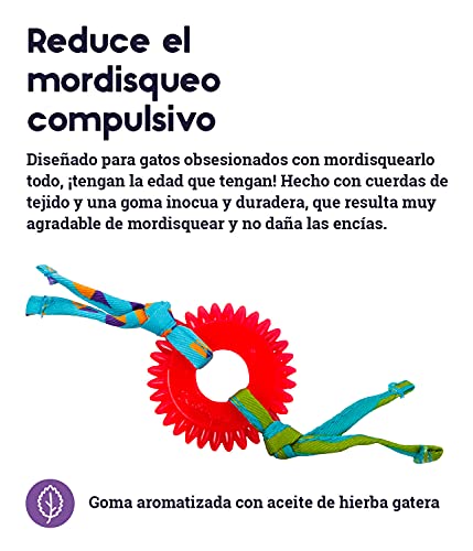 Miniatura 3 de Petstages Kitty Chew Wheel - Juguete Para Morder Para Gatos - Aromatizado Con Hierba Gatera