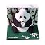 Black Panda