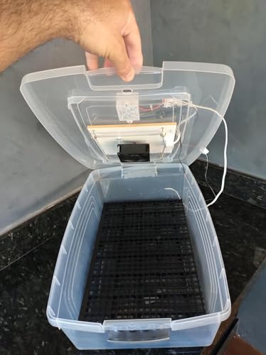 Ovoscopio Mais Chocadeira Compacta Com Controle De Temperatura automático capacidade para 48 Ovos de