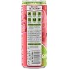 REIGN Storm, Guava Strawberry, Fitness & Wellness Energy Drink, 12 Fl Oz (Pack of 1)