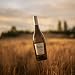 Protos Verdejo 2019 D.O. Rueda