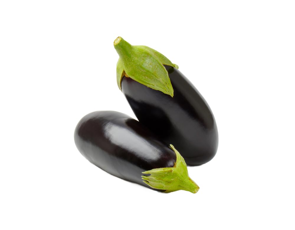 Aubergine Plants, 'F1 Jackpot', 1 x Full Plant in 9cm Pot, Patio Aubergine, Vegetable Plants, Garden Ready, Ready to Plant, Premium Quality Veg