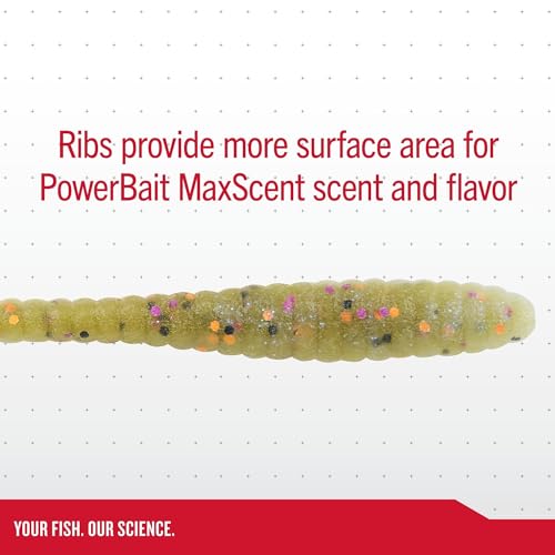 Leurre souple Berkley Powerbait Maxscent Flat Worm Mango Magic de 10 cm - 4