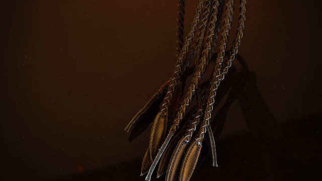 What Is Cat O Nine Tails? Meaning And History