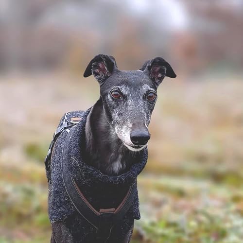 EDEL&SCHNELL Hundemantel wasserdicht, Woll-Wintermantel für Ridgebacks, Dalmatiner, Weimaraner und andere schlanke Rassen, Hunde Wintermantel Größe 70-75