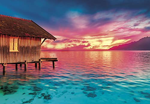 Clementoni | Peace Puzzle – Living The Present pour Adultes 14 Ans+ | 500 Pièces | Ambiance Zen avec Coucher de Soleil | Playlist Spotify Relaxante | Carton Recyclé Certifié FSC | Ideé Cadeau