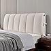 CHENGZ Cuscini da Lettura Schienale Comodino Copripolvere all-Inclusive Copri Testata Letto Rigido Addensato Anti-collisione Copripiumino Letto Cuscino Schienale Lavabile,Beige-150×50×5cm