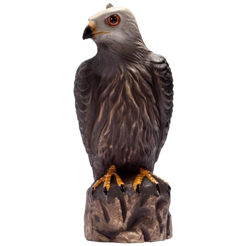 Effaroucheur oiseaux extérieur avec textures claires pour terrasse
