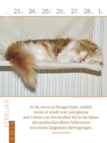 Katzen 2015: Literatur-Wochenkalender