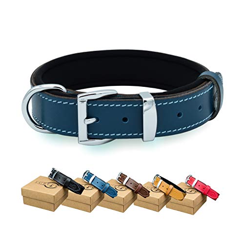TUBERK Genuine Leather Dog Collar for Medium Dogs - Heavy Duty and Luxury Design Dog Collars (S (16.5 - 19.5 ), Royal Blue)