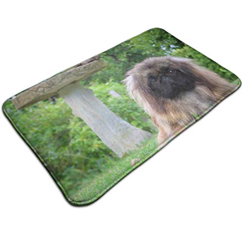 oX}bg  h z   gChA}bg փ}bg C}bg yLj[YiV[Yj Lb`}bg ~ R ӂӂ C}bg ӂ}bg 50x80cm