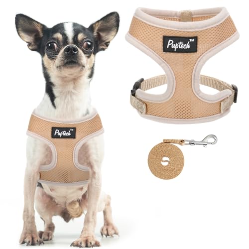 PUPTECK Small Dog Harness and Leash Set No Pull for XS XXS Sized Dogs Puppy