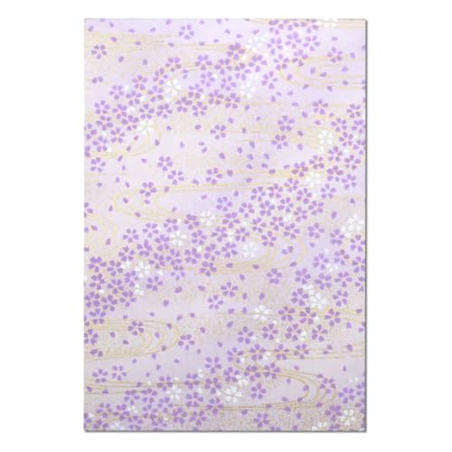 킵  唻 TCY  킢 FT ̎q (Jo[Ȃ, ɋ(F))