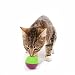 OurPets Play-N-Treat Twin Pack Cat Toy