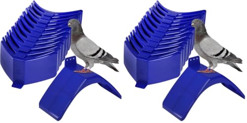 Image of Coloch 20 Pcs Dove Rest Stand, Lightweight Pigeon Perches Plastic Birds Roost Holder, Pigeons Dwelling Frame Birdcage Accessories for Parrots and Other Birds (Pack of 2)