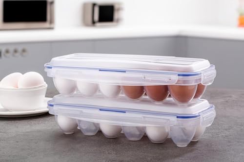 Image of Stewit Plastic Egg Tray for Fridge - Space-Saving Storage Box for 12 Eggs | Sturdy & Stylish Egg Organizer (12 Grid,Transparent)