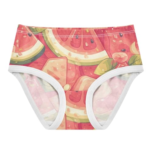 GuoChe Brief Panties Stretchy Triangle Panties Organic Underwear for Young Girls in Sizes 2T,3T, 4T, 5T, 6Y and 8Y