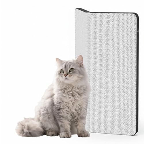 Lifetips p[} Ep[} LaPerm ܂Ƃ{[h _{[ Ǌ| u p ʎgp pی ϋv^Cv i{[ }bg c^  ȃXy[X XgX Mtg R[i[ی SV[ tȒP ȃXy[X