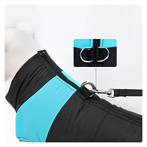 Manteau imperméable pour chien et coupe-vent avec fermeture éclair dorsale