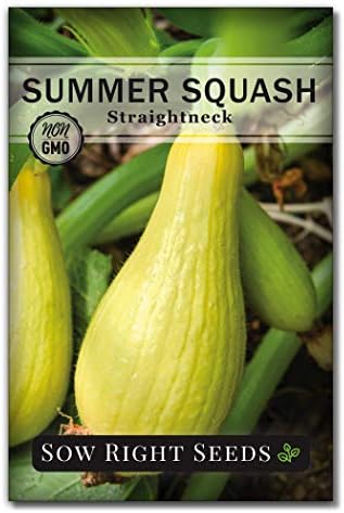 Sow Right Seeds - Straight Neck Yellow Summer Squash Seed for Planting - Non-GMO Heirloom Packet with Instructions to Plant a Home Vegetable Garden - Great Gardening Gift (1)
