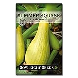 Sow Right Seeds - Straight Neck Yellow Squash Seeds for Planting - Non-GMO Heirloom Packet with Instructions to Plant a Home Vegetable Garden - Grow Tasty Summer Squash at Home, Great for Cooking (1)