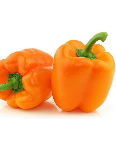 Seed vegetable seeds Capsicum Orange wonder seeds 30 seeds-picture-18