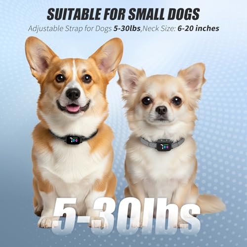 Anti Bark Collar for Small Dogs 2 Pack, No Shock Bark Collar with Beep & Vibration, 7 Sensitivity Levels, Smart Bark Detection, Rechargeable IP67 Waterproof Bark Collar for Small Dogs 5-30lbs - Image 3