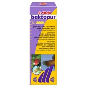 sera baktopur 100 ml – Arzneimittel für Fische gegen bakterielle Infektionen (z. B. Maul- und Flossenfäule), Medizin fürs Aquarium