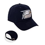 Desert Cactus Georgia Southern University Baseball Hat GSU Eagles Brimmed Embroidered Cap Adjustable Cloth Strap Adult (Style A) Blue