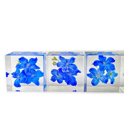 [フェリナス] ハーバリウム クリスタル 幸せの青い花 プレゼント デルフィニューム [4]
