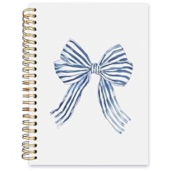 Blue Stripe Ribbon Bow